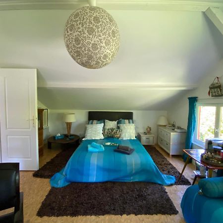 Le Loft Au-Dessus Des Pins Appartamento Lacanau Esterno foto