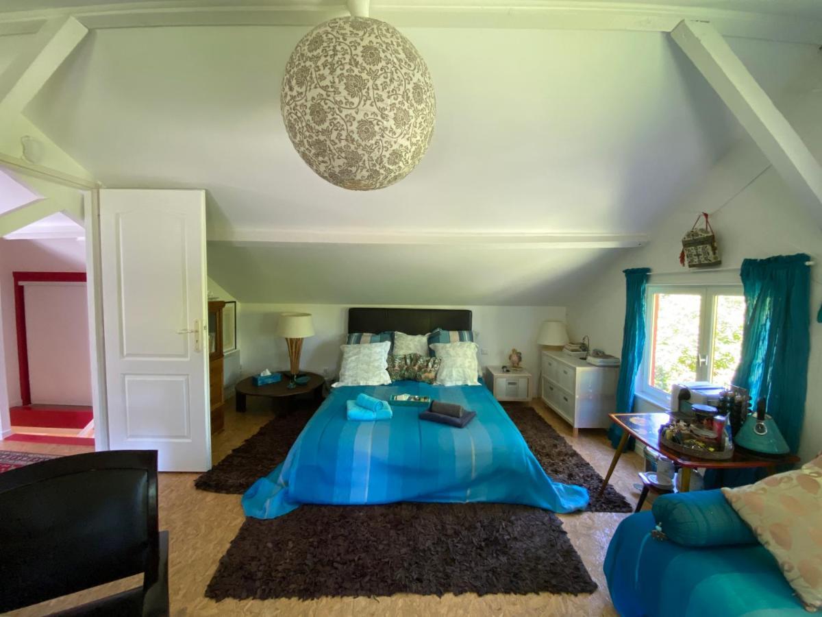 Le Loft Au-Dessus Des Pins Appartamento Lacanau Esterno foto