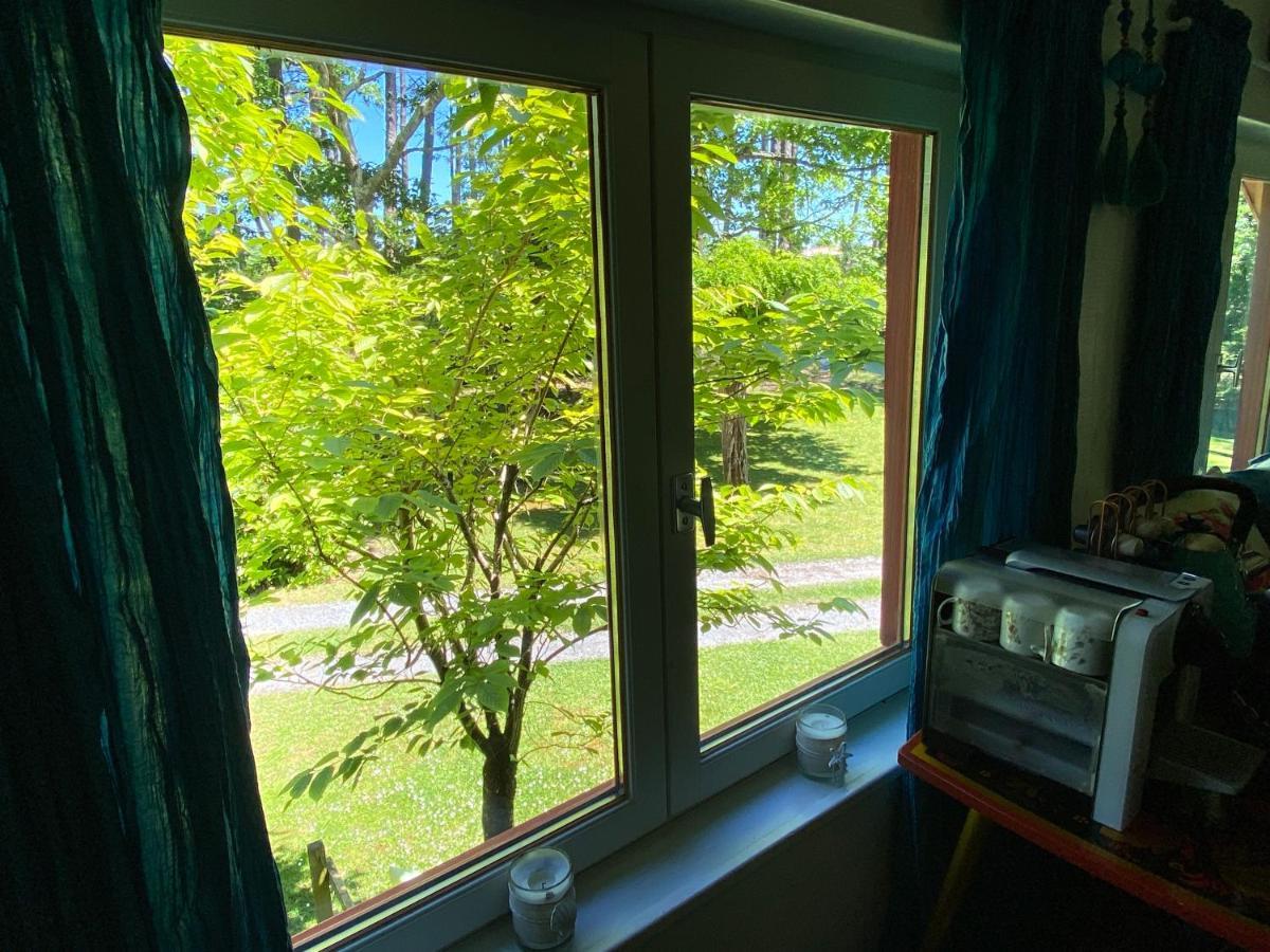 Le Loft Au-Dessus Des Pins Appartamento Lacanau Esterno foto