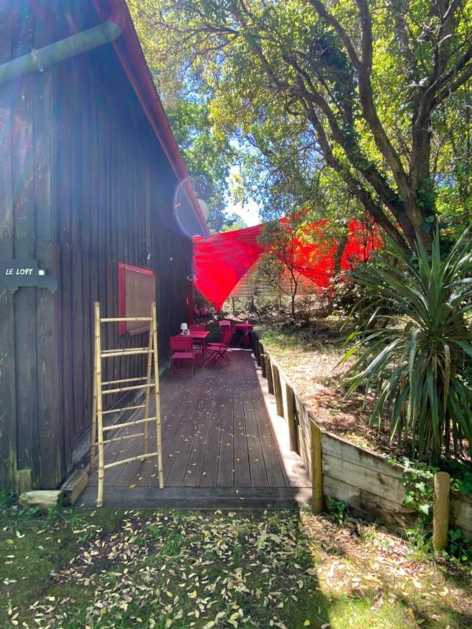 Le Loft Au-Dessus Des Pins Appartamento Lacanau Esterno foto