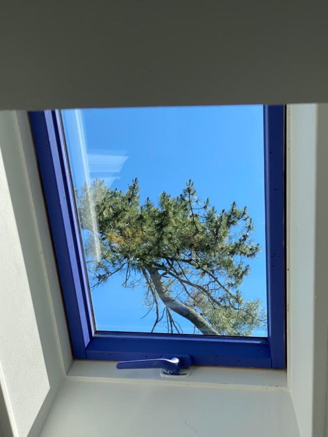Le Loft Au-Dessus Des Pins Appartamento Lacanau Esterno foto