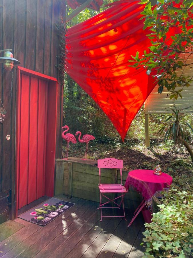 Le Loft Au-Dessus Des Pins Appartamento Lacanau Esterno foto