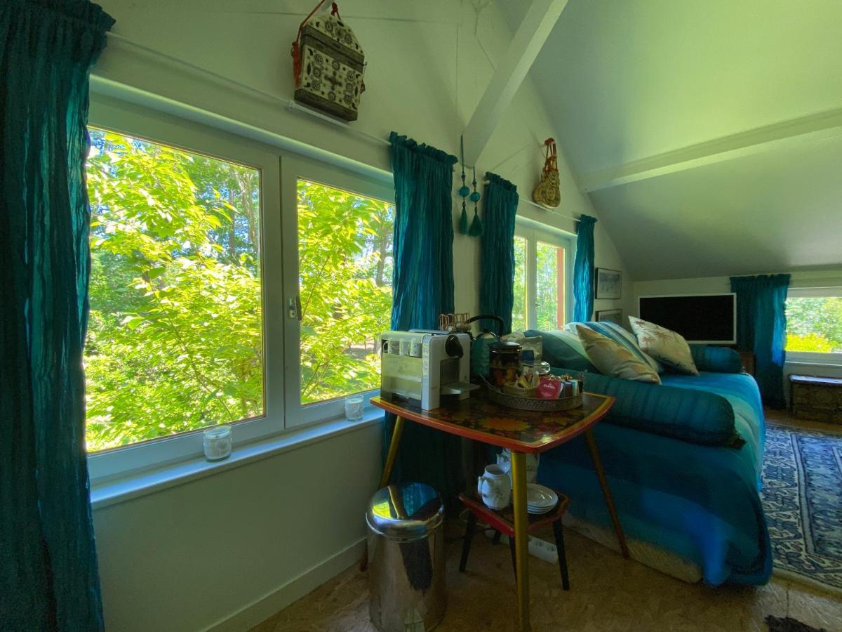 Le Loft Au-Dessus Des Pins Appartamento Lacanau Esterno foto