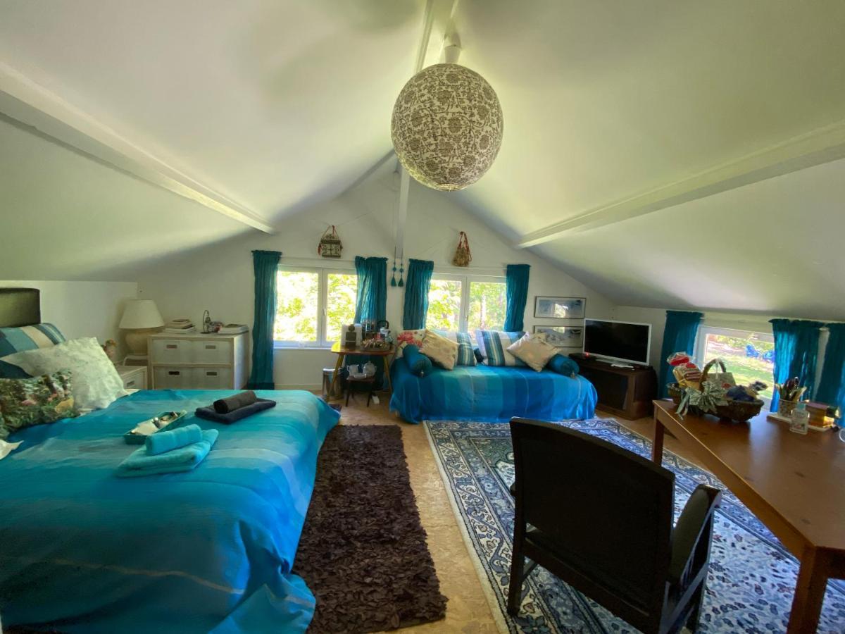 Le Loft Au-Dessus Des Pins Appartamento Lacanau Esterno foto