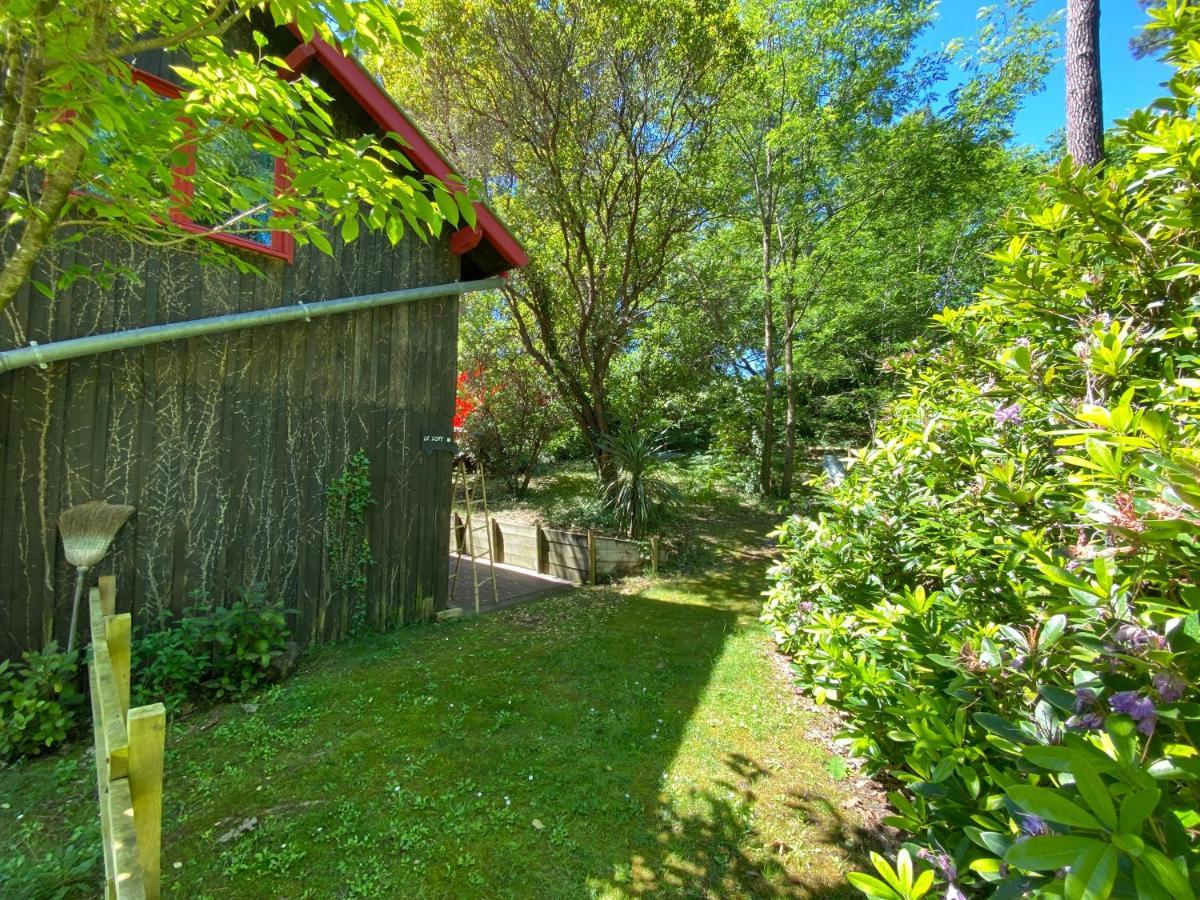 Le Loft Au-Dessus Des Pins Appartamento Lacanau Esterno foto