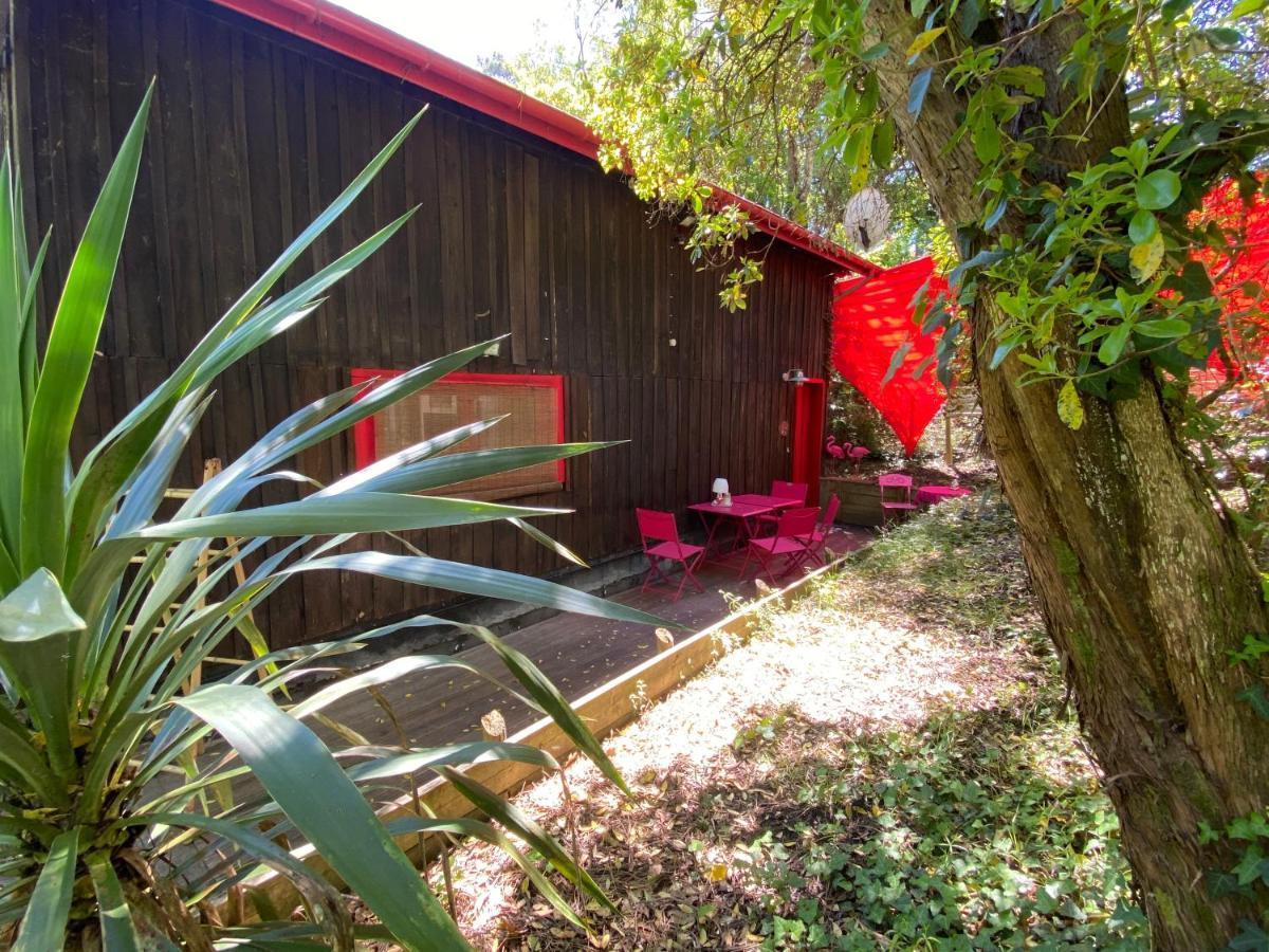 Le Loft Au-Dessus Des Pins Appartamento Lacanau Esterno foto