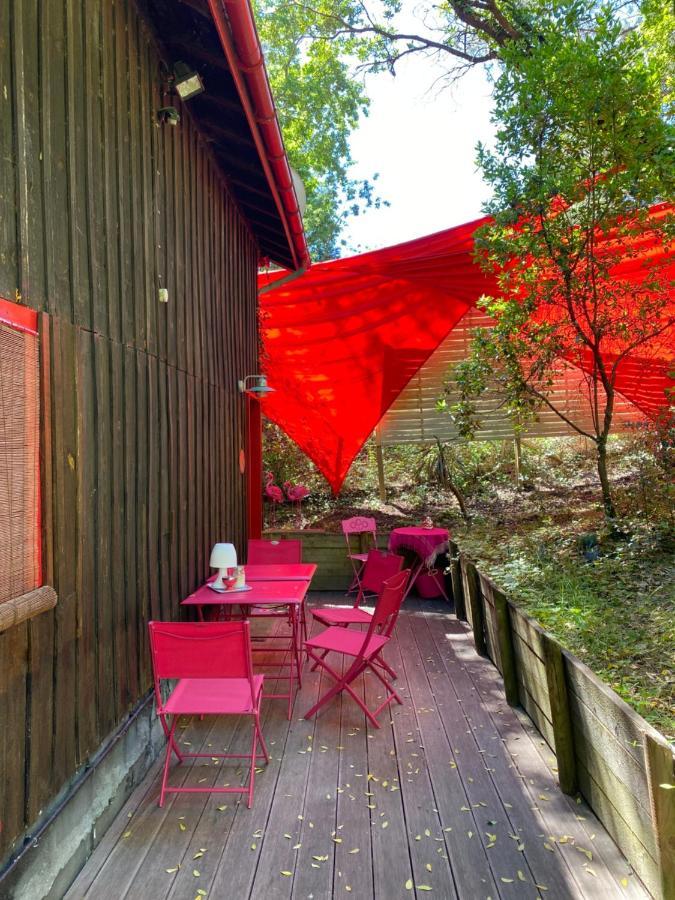 Le Loft Au-Dessus Des Pins Appartamento Lacanau Esterno foto