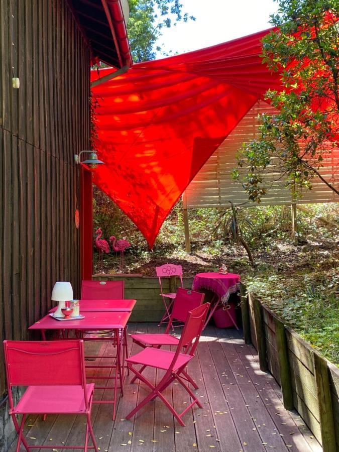 Le Loft Au-Dessus Des Pins Appartamento Lacanau Esterno foto