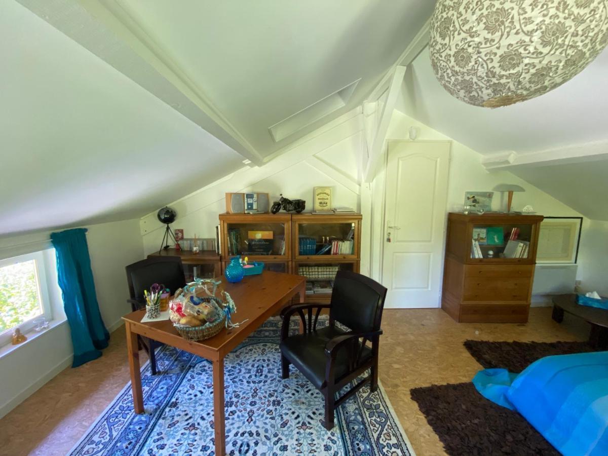 Le Loft Au-Dessus Des Pins Appartamento Lacanau Esterno foto