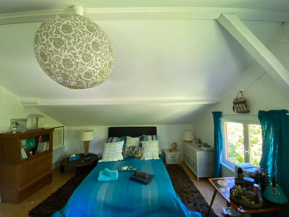 Le Loft Au-Dessus Des Pins Appartamento Lacanau Esterno foto
