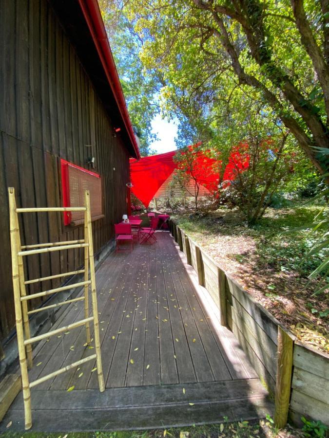 Le Loft Au-Dessus Des Pins Appartamento Lacanau Esterno foto