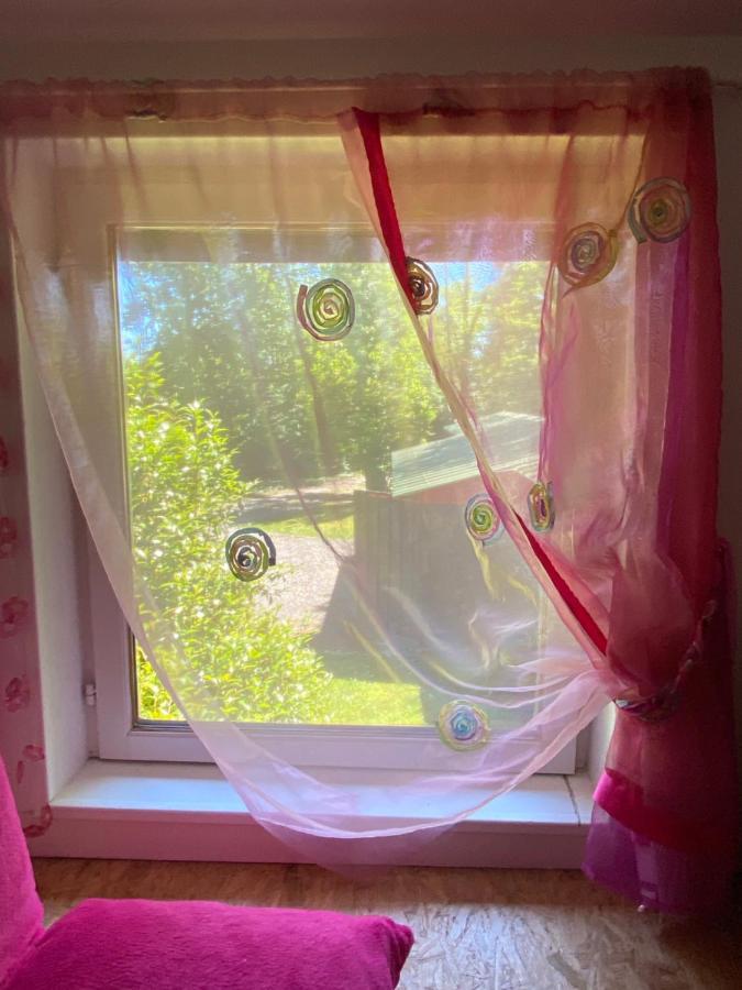 Le Loft Au-Dessus Des Pins Appartamento Lacanau Esterno foto